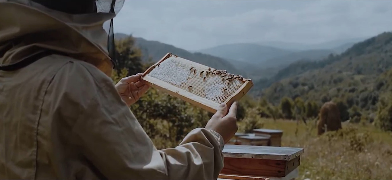 Official representation within Canada of Transcarpathian tribal plant for breeding and selecting the Carpathian bee population.